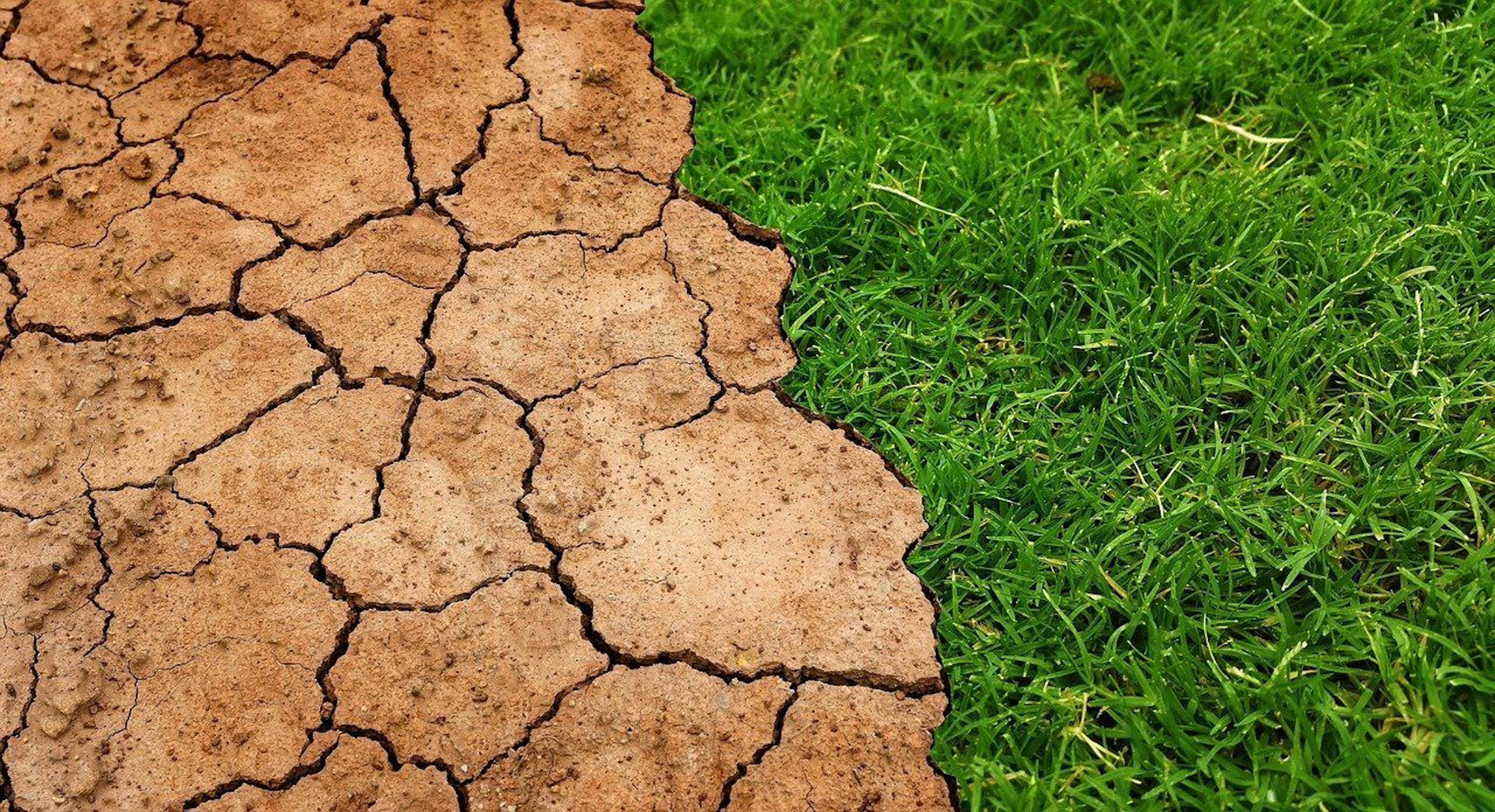 The Green Tech Movement and Its Impact on Climate Change